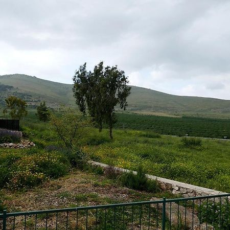 Вилла נוריות בגלבוע 1 Nurit Экстерьер фото